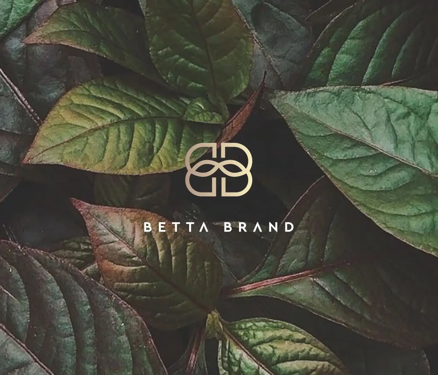 Distinctive and soft logo design for a sustainable fashion brand